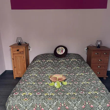 Maison Avec Piscine Gaillac