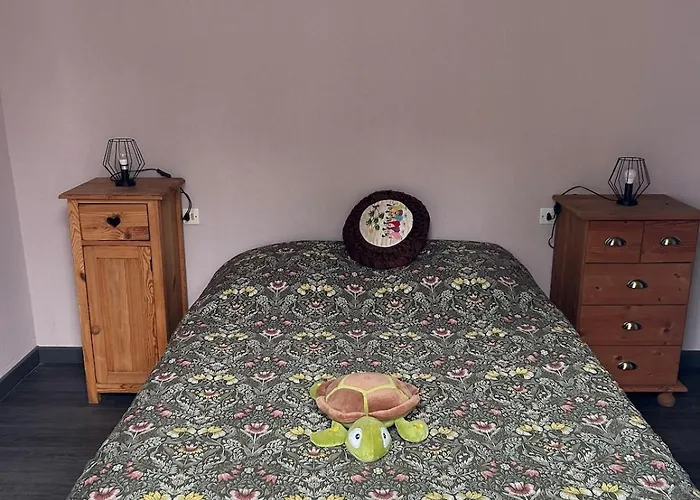 Maison Avec Piscine Gaillac